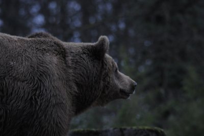 L'appel de la nature_4298624469_l.jpg